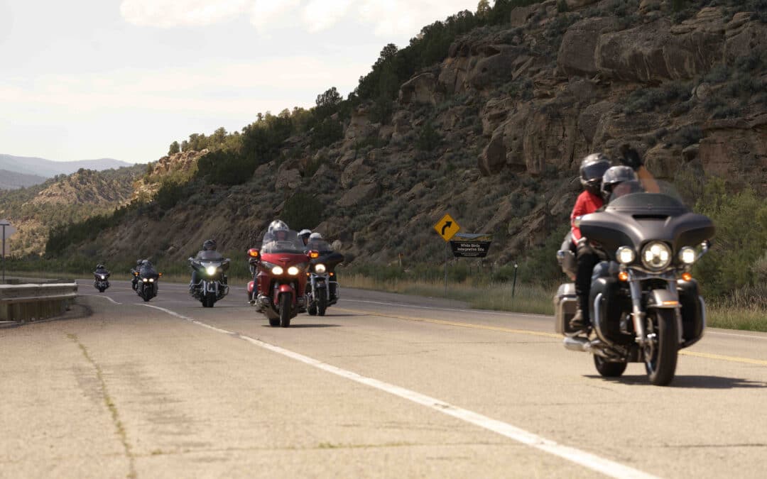 Buffalo Tour — Colorado, Wyoming, Dakota du Sud