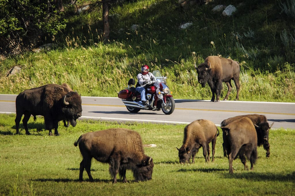 Rapid City - Fort Collins