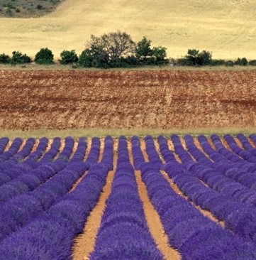 La Provence — Gorges du Verdon, Lubéron, Mont Ventoux