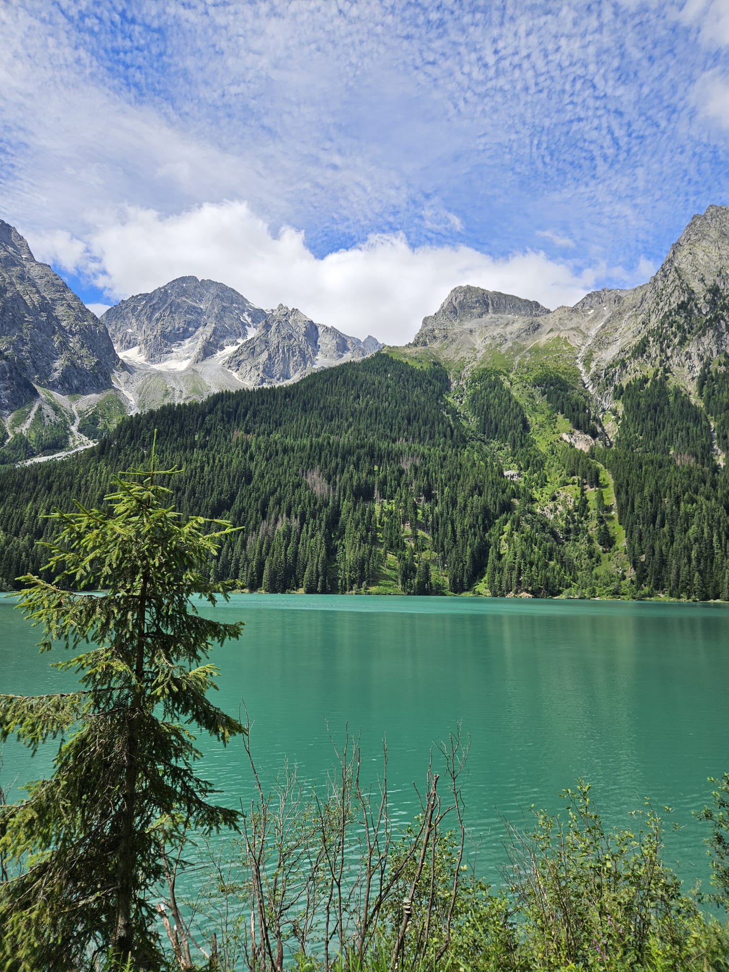 Au cœur des Alpes — Stelvio, Bonette, Allos, Lac Majeur, Lac de Garde