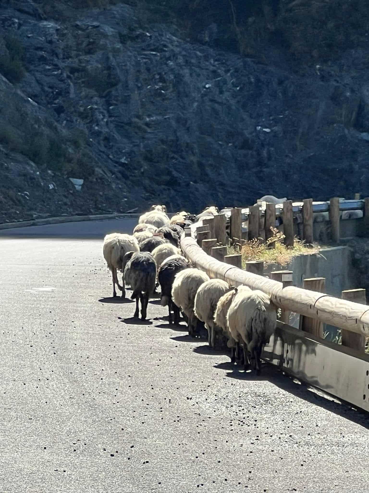 La Corse — L&rsquo;Île de Beauté à moto