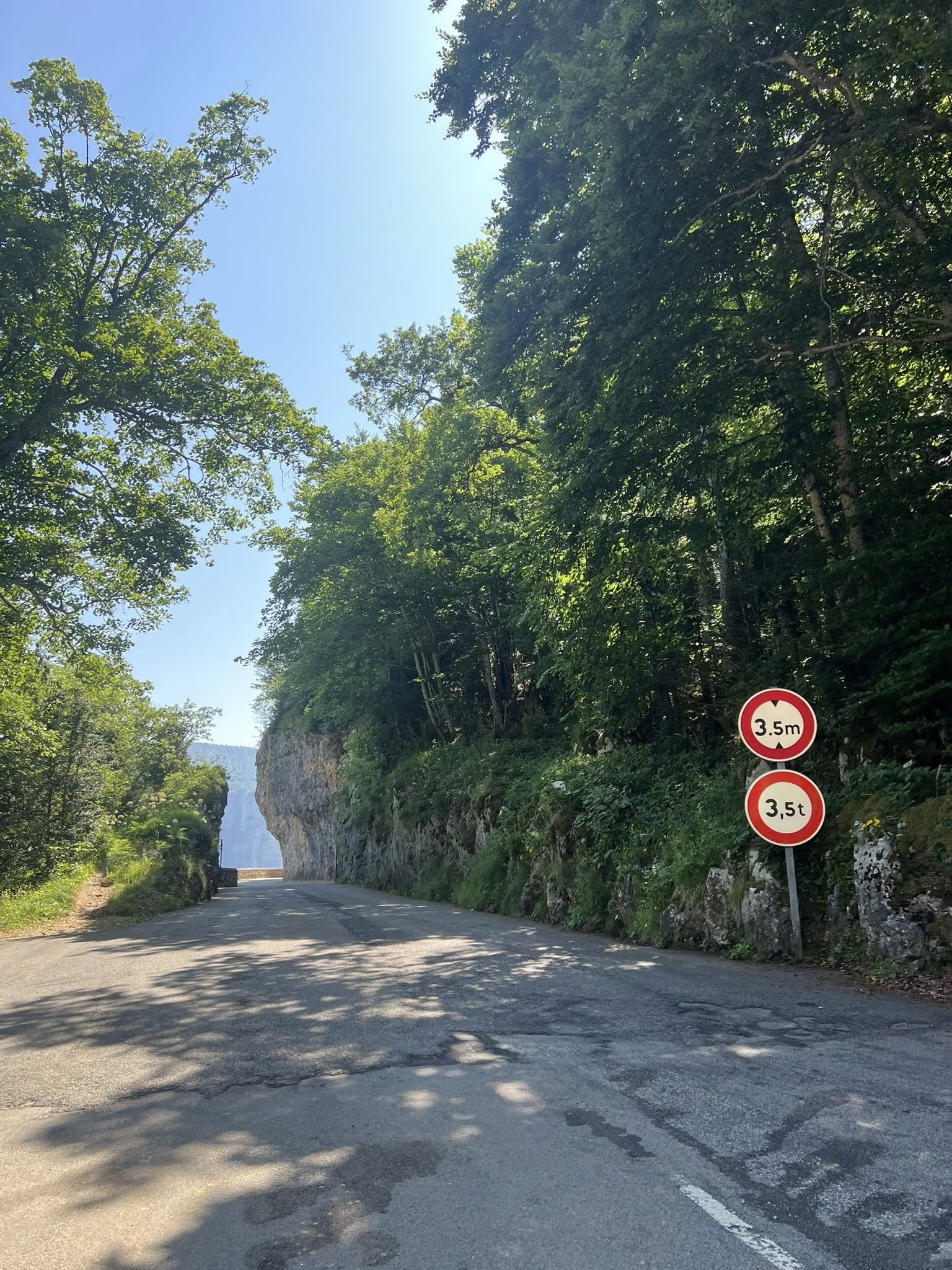 Les Alpes Françaises et les Pyrénées — Cols mythiques et routes de haute montagne