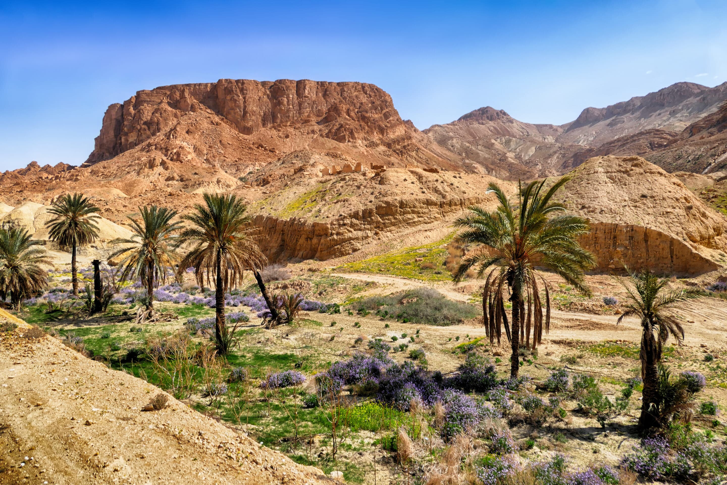 La Tunisie — Forteresse d’El-Kef, Tozeur, Chott El Jerid