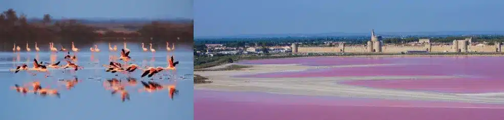 Marseille – Les Saintes Maries de la Mer – Béziers 