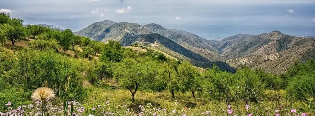 Burgos – Picos de Europa – Oviedo