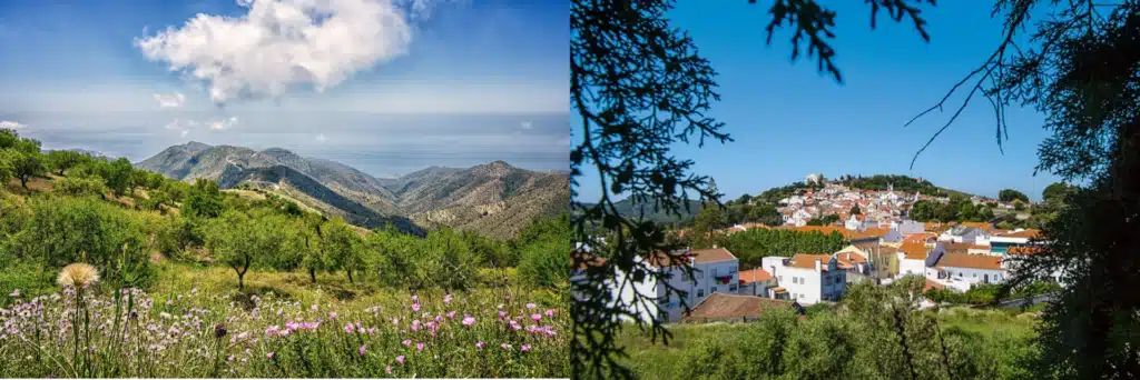 Santa Fé – Las Alpujarras – Camacho – Ragua – Guadix 