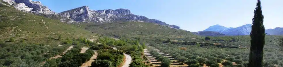 Marseille - Nîmes