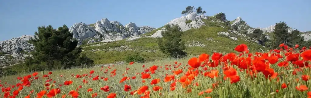 Marseille - Nîmes 