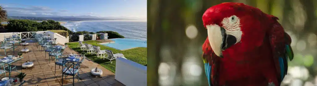 Port Alfred – Jeffreys Bay – Plettenberg Bay