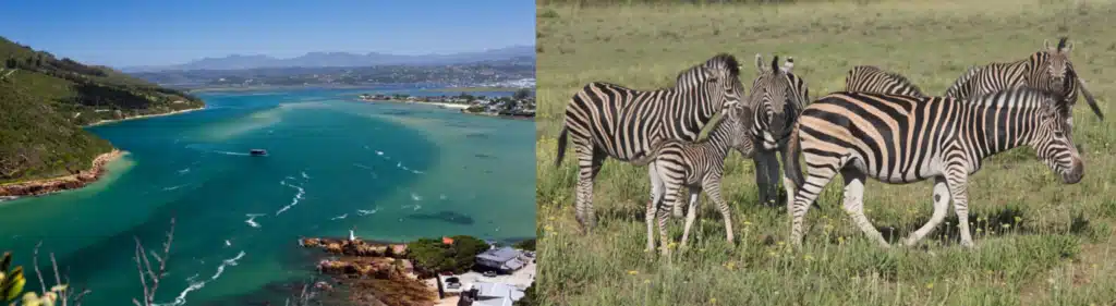 Plettenberg Bay