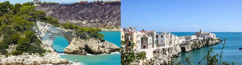 Vieste