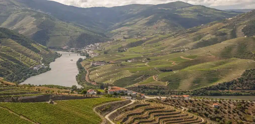 Pinhão – Porto
