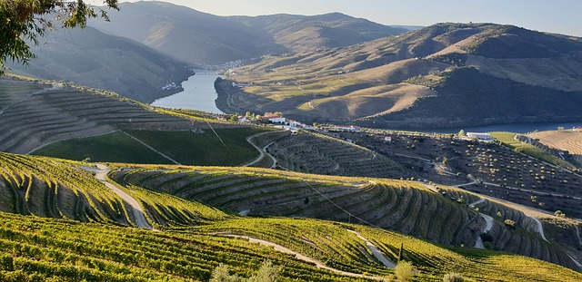 L&rsquo;Espagne et le Portugal — L&rsquo;Aventure Ibérique